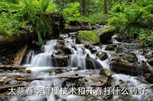 大蒜卷葉用什么農(nóng)藥好呢,什么農(nóng)藥能把大蒜打死...